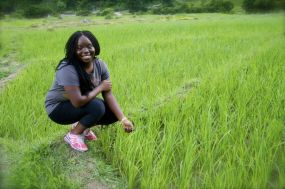 Rice paddy field!, Bhutan